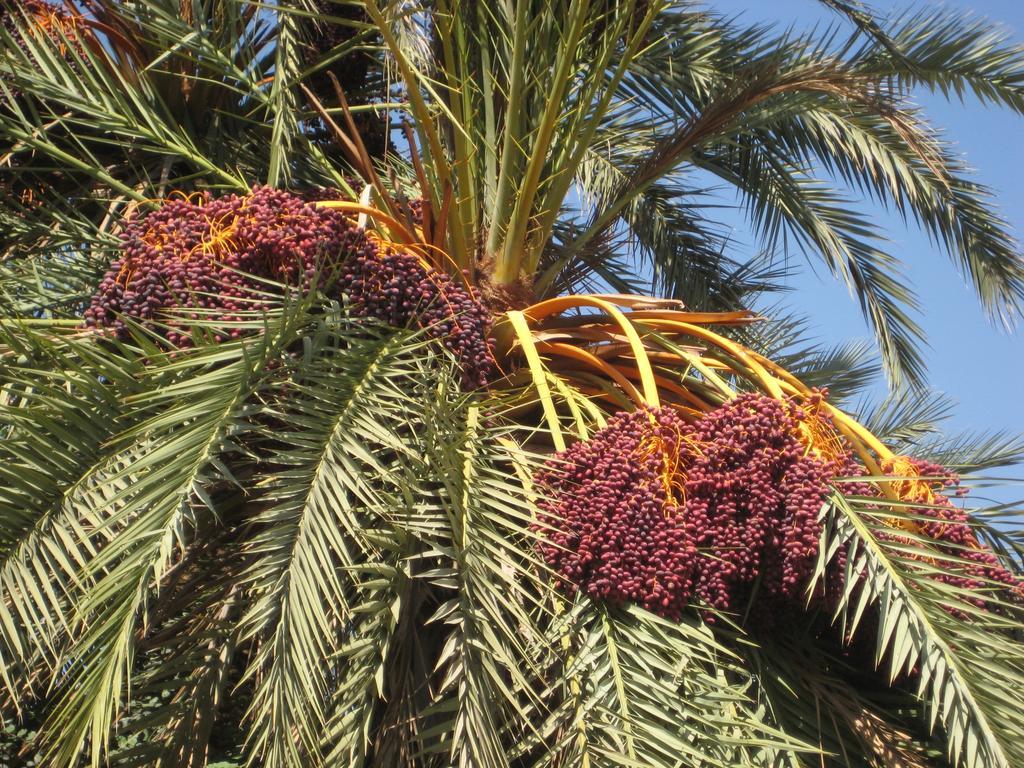 Frühstückspension La Porte Des Etoiles Agadir